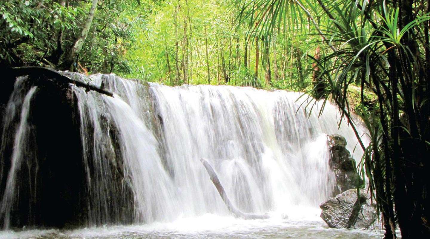 TRANH NATURAL STREAM